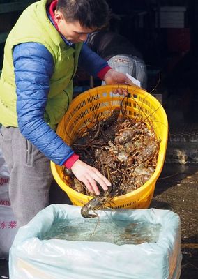 定了!广州黄沙水产市场将搬到芳村东洛围 新址船型建筑曝光