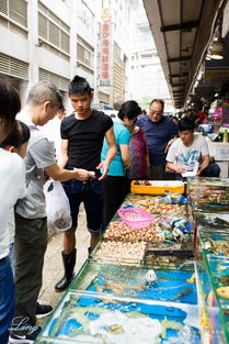 边走边拍 广州黄沙水产市场
