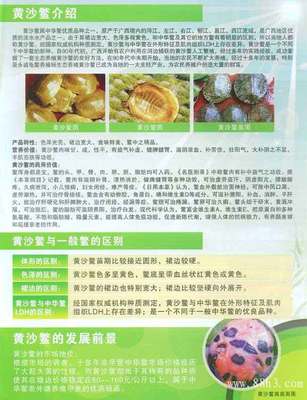 百色市永城龟鳖养殖场。_南宁市_88h3.com