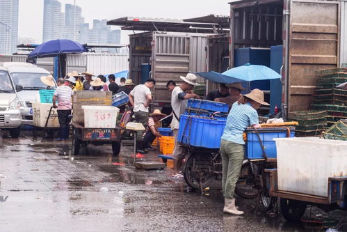 黄沙水产市场即将告别,是悲,还是喜