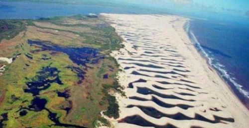 世界最 丢脸 的沙漠,本应该漫天黄沙,如今却遍地湖泊鱼虾成群