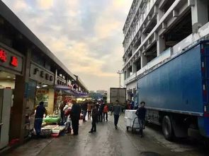 定了 黄沙水产市场要搬了,这3个区都要笑了